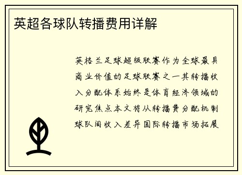 英超各球队转播费用详解
